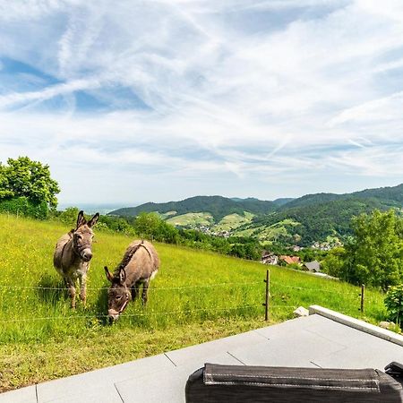 Merzel'S Schone Aussicht Бюлерталь Экстерьер фото